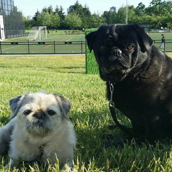 Meet your Posher, Julie - Picture 1 of 1